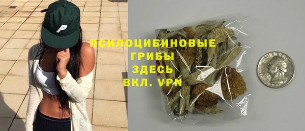дурь Козельск