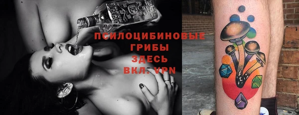 трава Кодинск