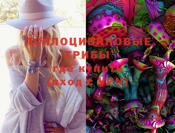 трава Кодинск
