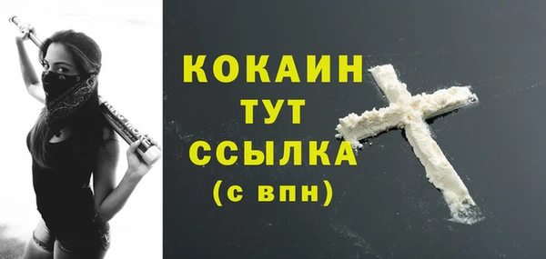трава Кодинск