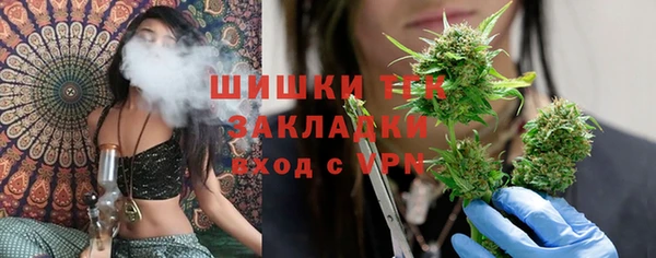 трава Кодинск