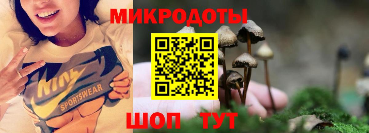 Галлюциногенные грибы Psilocybine cubensis  Вход с VPN  купить  цена  Кемерово 